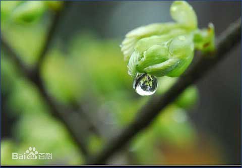 喜訊！2017新年開(kāi)工第一份中標(biāo)通知書(shū)
